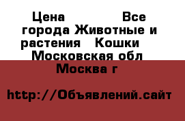 Zolton › Цена ­ 30 000 - Все города Животные и растения » Кошки   . Московская обл.,Москва г.